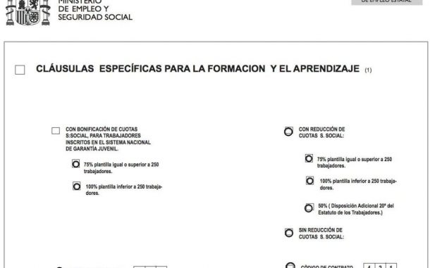 Novedades En El Modelo Oficial Del Contrato De Formaci N Y Aprendizaje