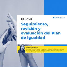 Curso Seguimiento Revisión Y Evaluación Del Plan De Igualdad Grupo2000