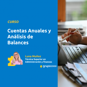 Curso Cuentas Anuales Y Análisis De Balances Grupo2000