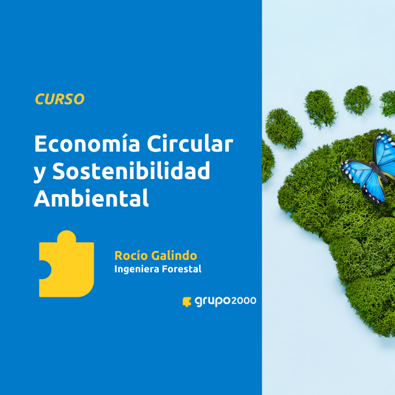 Curso Economía Circular Y Sostenibilidad Ambiental Grupo2000