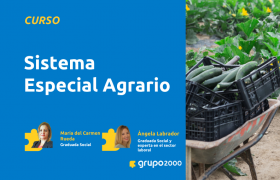 Curso Sistema Especial Agrario Grupo2000