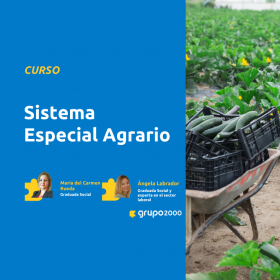 Curso Sistema Especial Agrario Grupo2000
