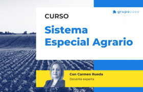 Curso Sistema Especial Agrario Grupo2000