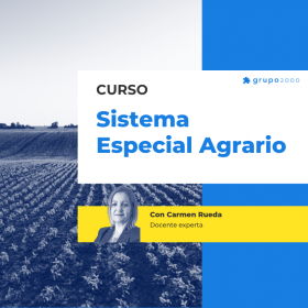 Curso Sistema Especial Agrario Grupo2000