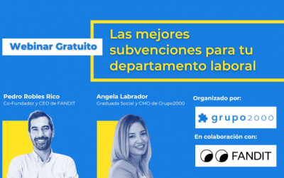 Webinar Las mejores subvenciones para tu departamento laboral en colaboración con FANDIT